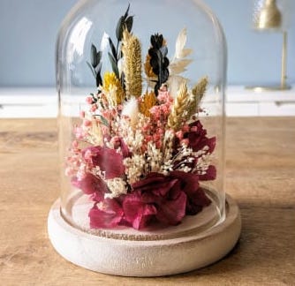 cloche de fleurs sechees fuchsia agathe